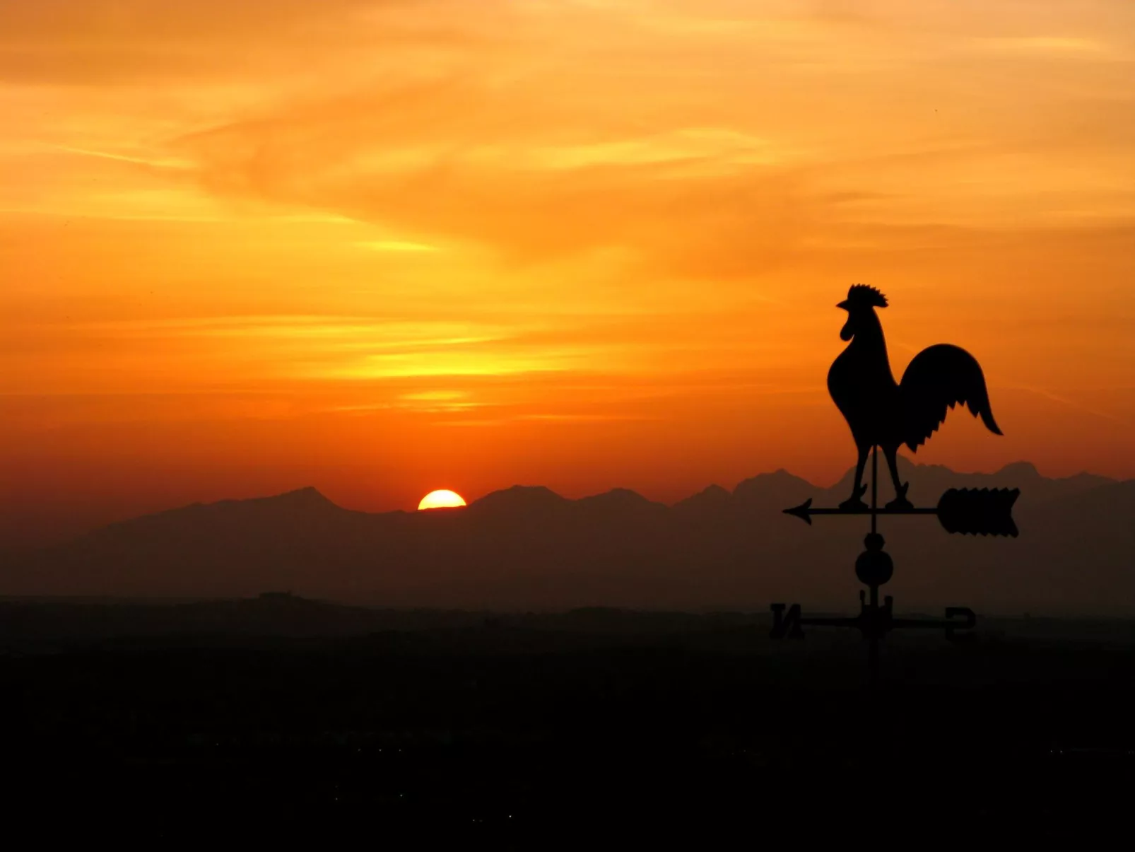 Willkommen in unserem kleinen Paradies-Buiten