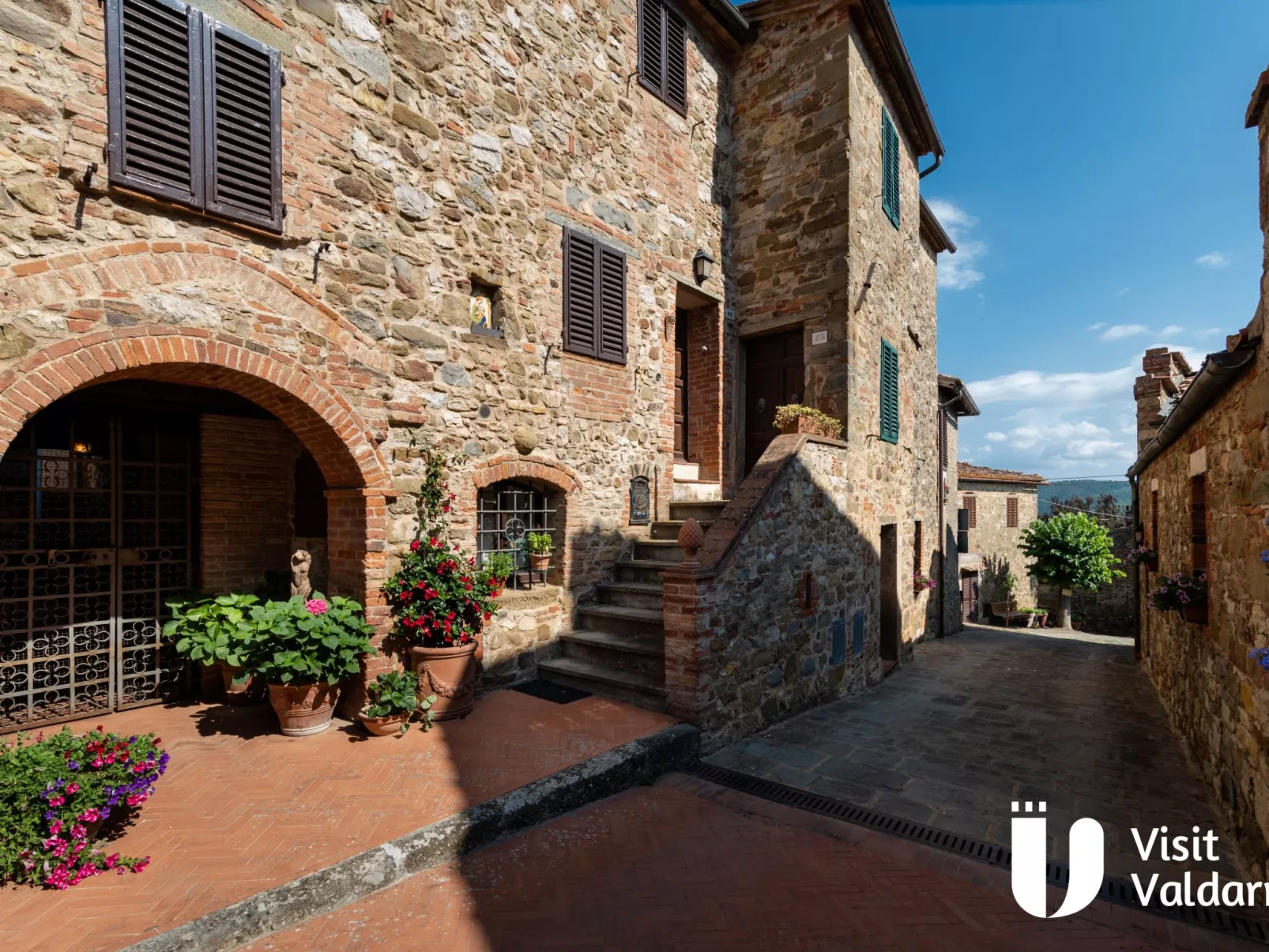 Flache Kornblume-Buiten