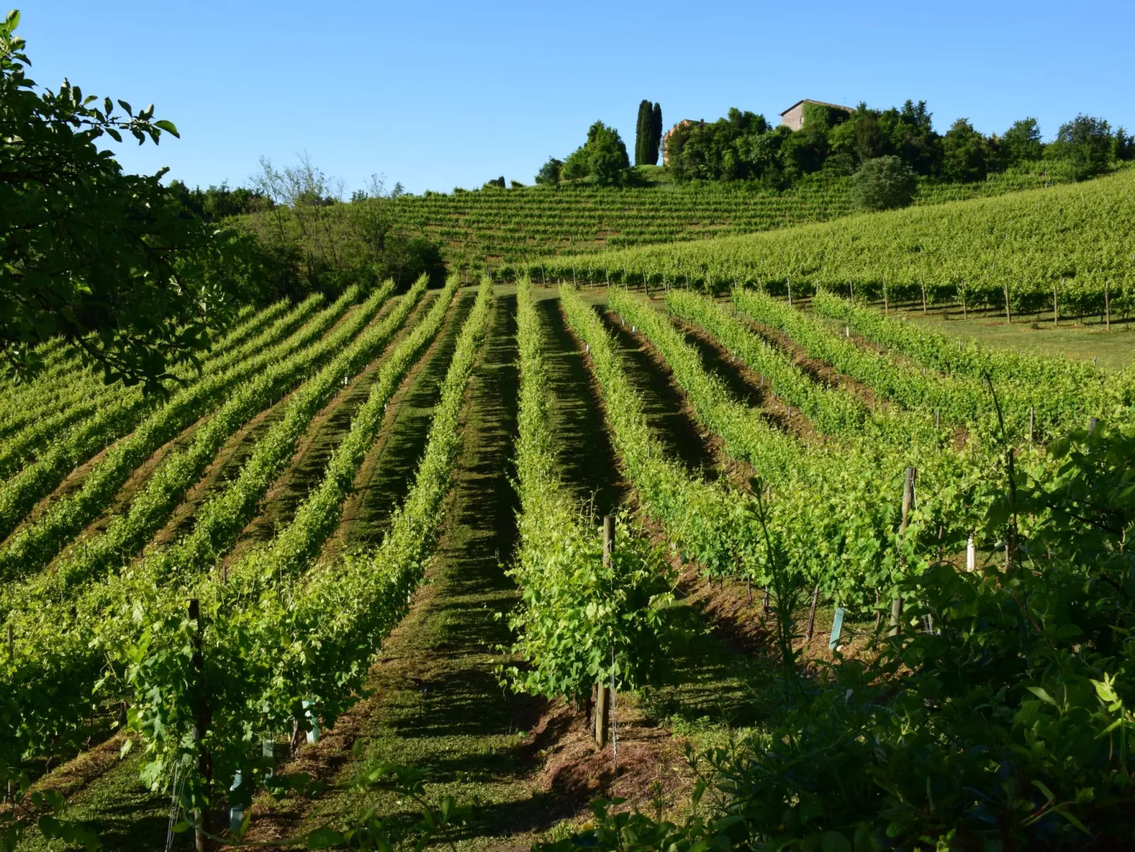 Anwesen mit Gemeinschaftspool-Buiten