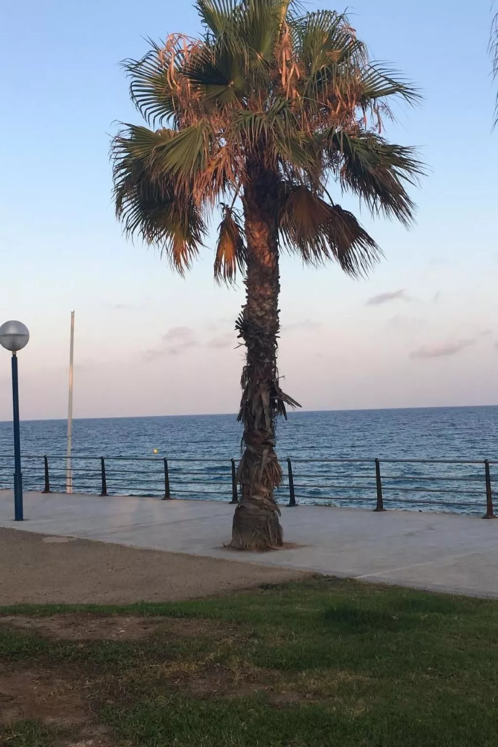 MEER * POOL* 4 Personen - Ferienhaus-Buiten