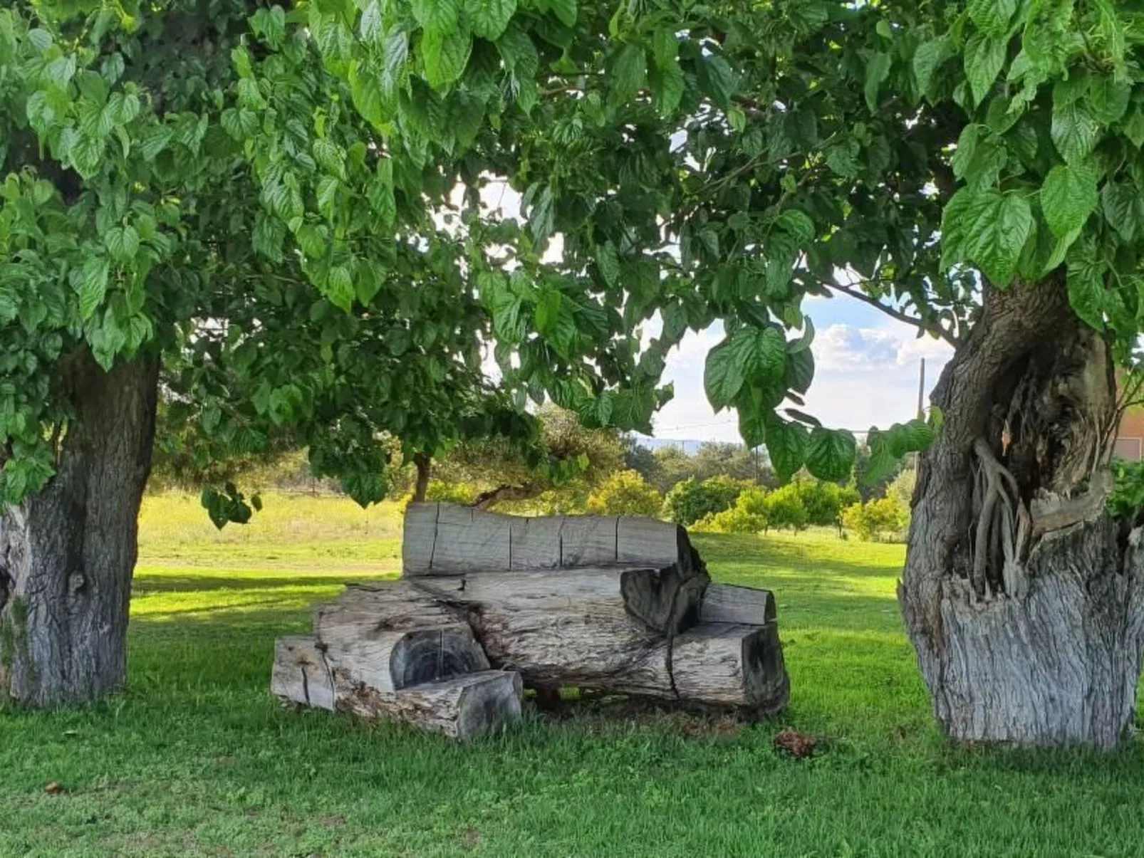 Design Vila mit Pool-Image-tags.info