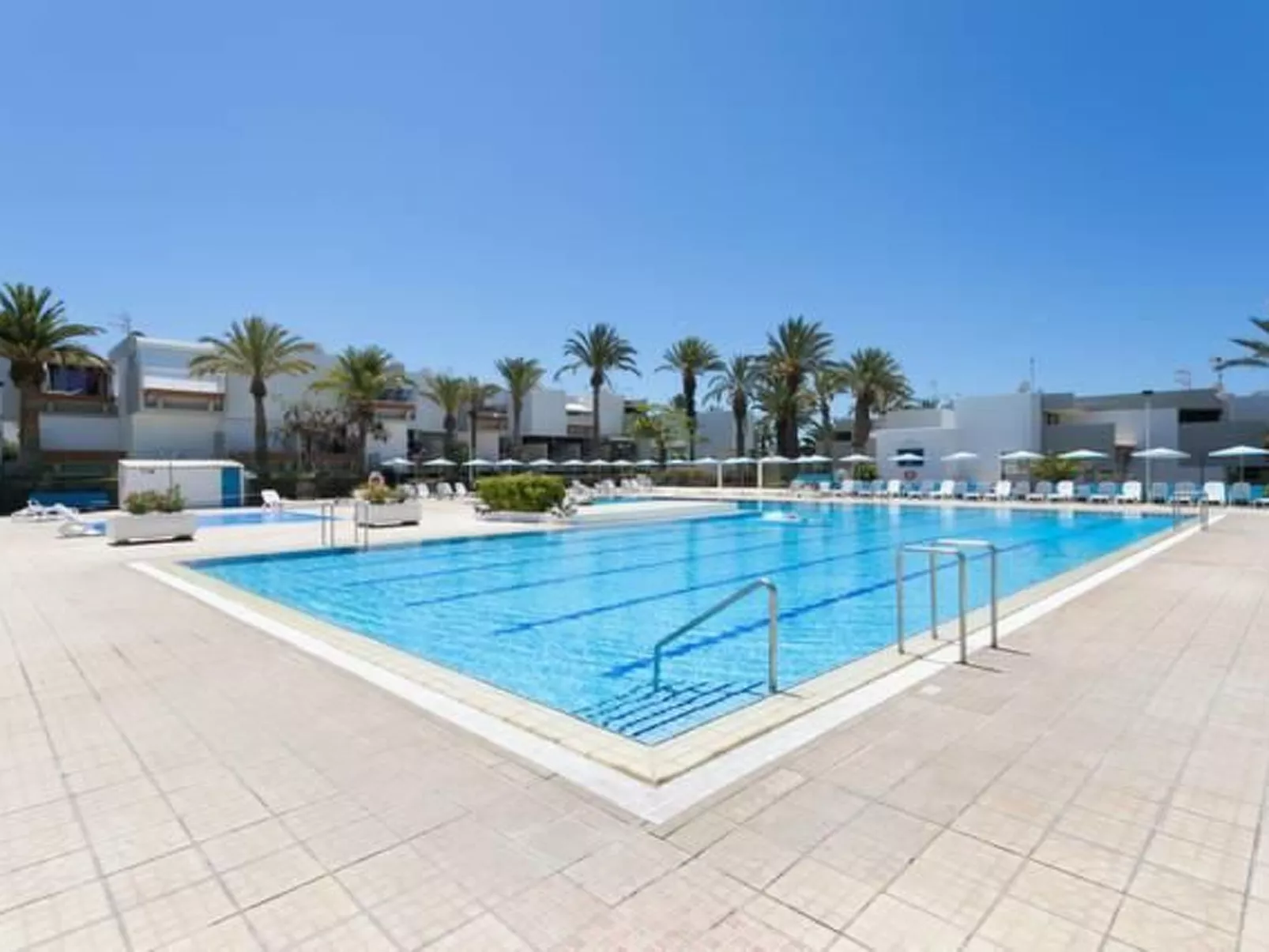 "Primavera-Image-tags.info