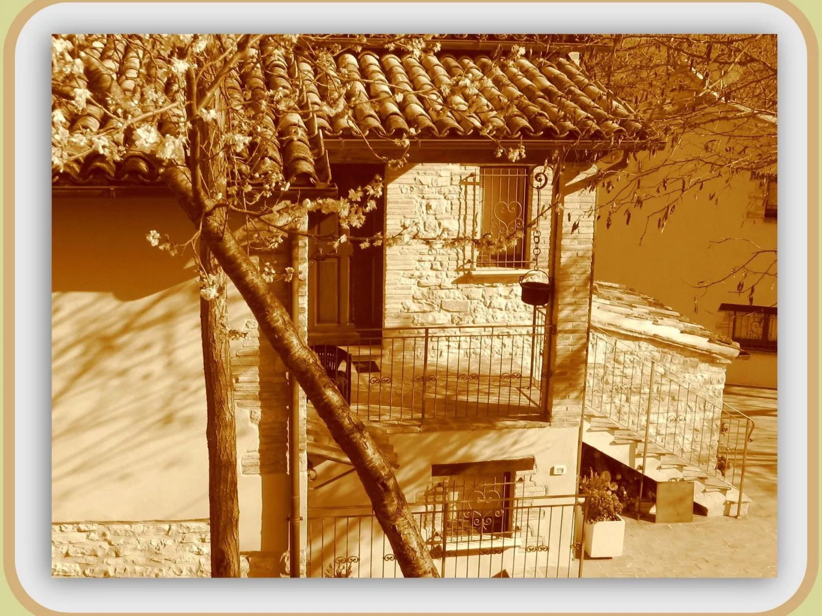 Girasoli in Cagli-Buiten