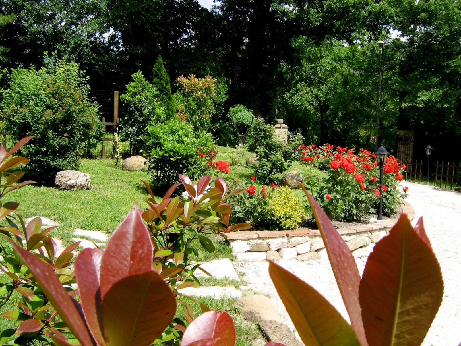 Flacher Flieder-Buiten