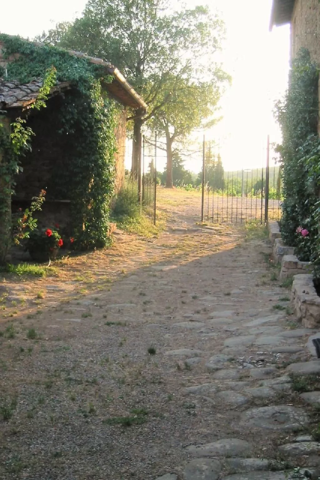 Toskana Idylle-Buiten