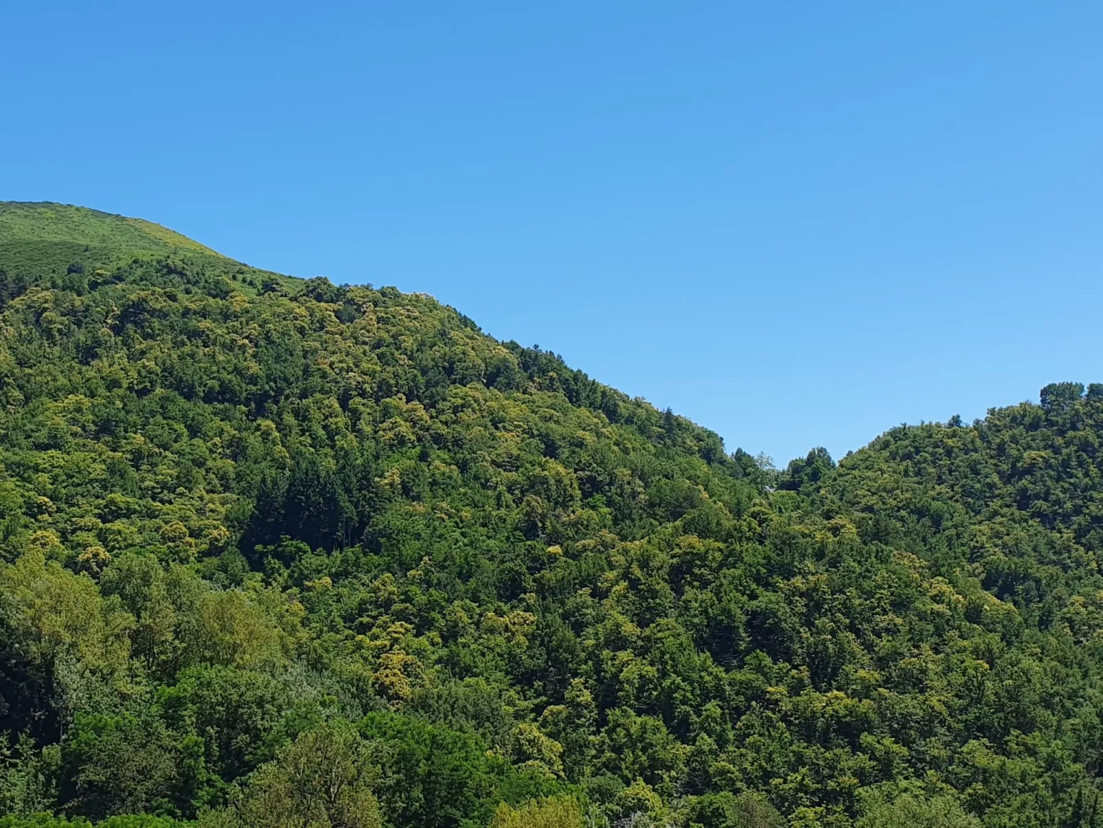 Villa 'Monticello' mit eigenem Pool-Buiten