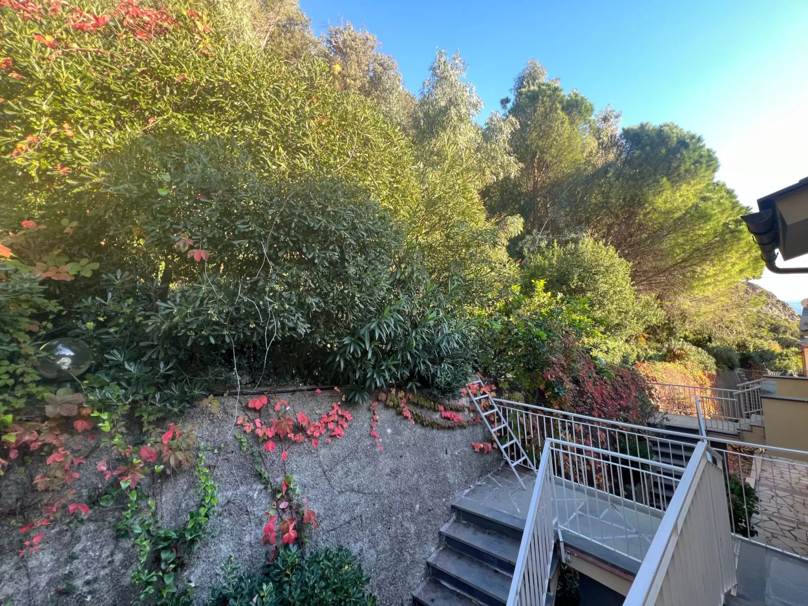 House Agave by Holiday World-Buiten