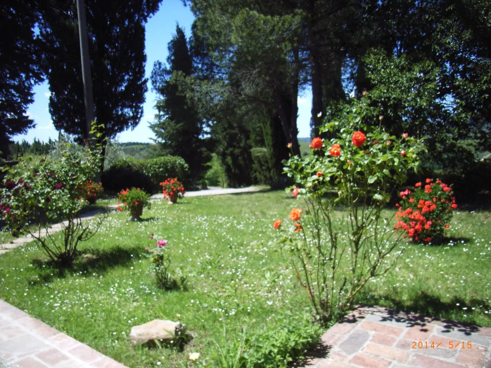 La Terrazza-Image-tags.info