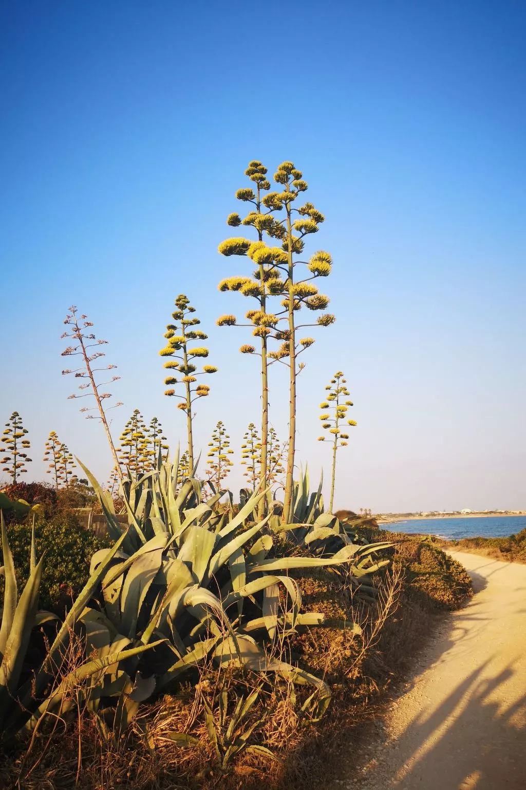 Mit grosser Terrasse direkt am Meer-Buiten