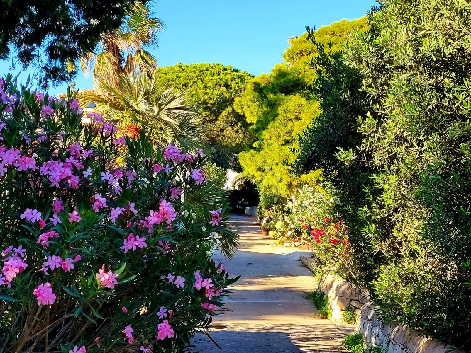 Kleines ruhiges Ferienhaus direkt am Meer-Buiten