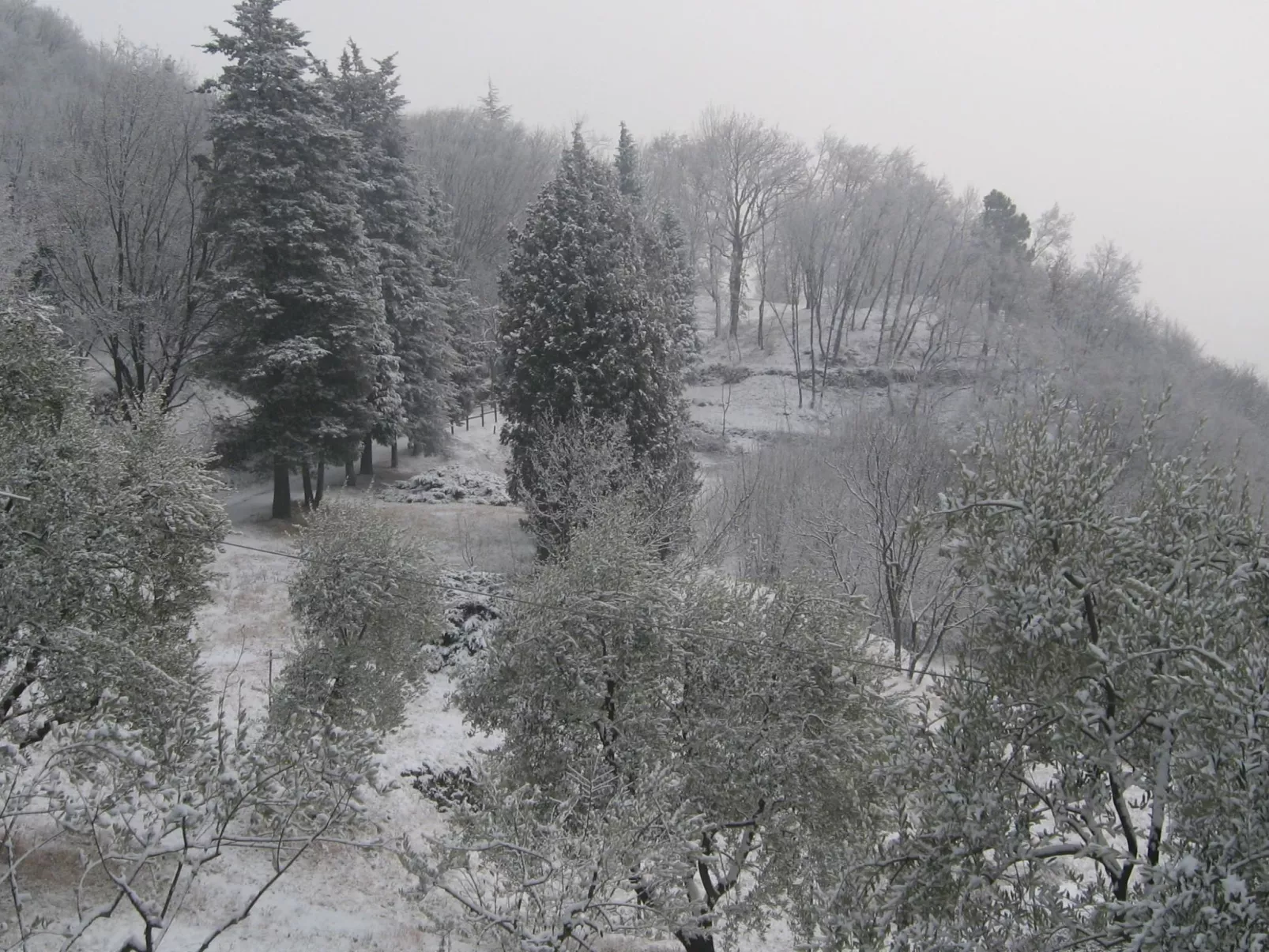 Niederwaldhaus in Solto Collina-Buiten
