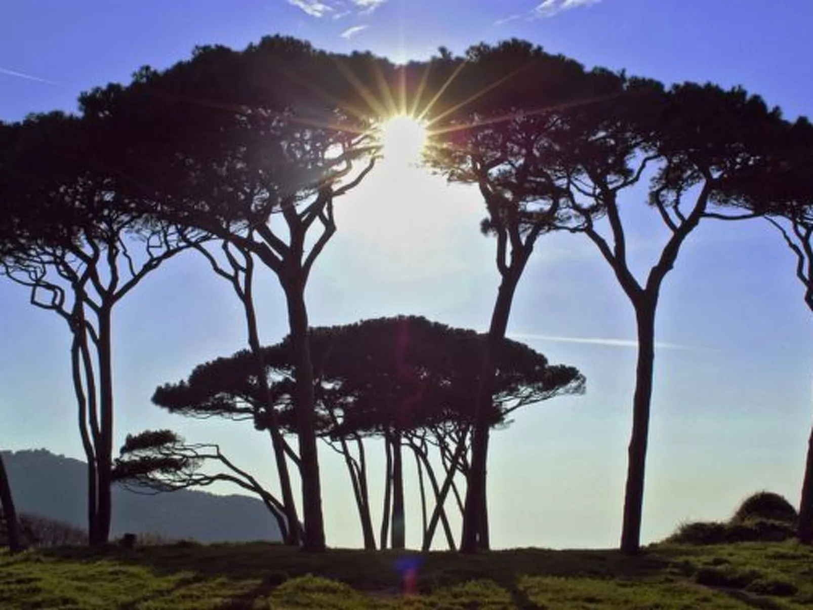 Agritourismus Val di Sterza-Buiten