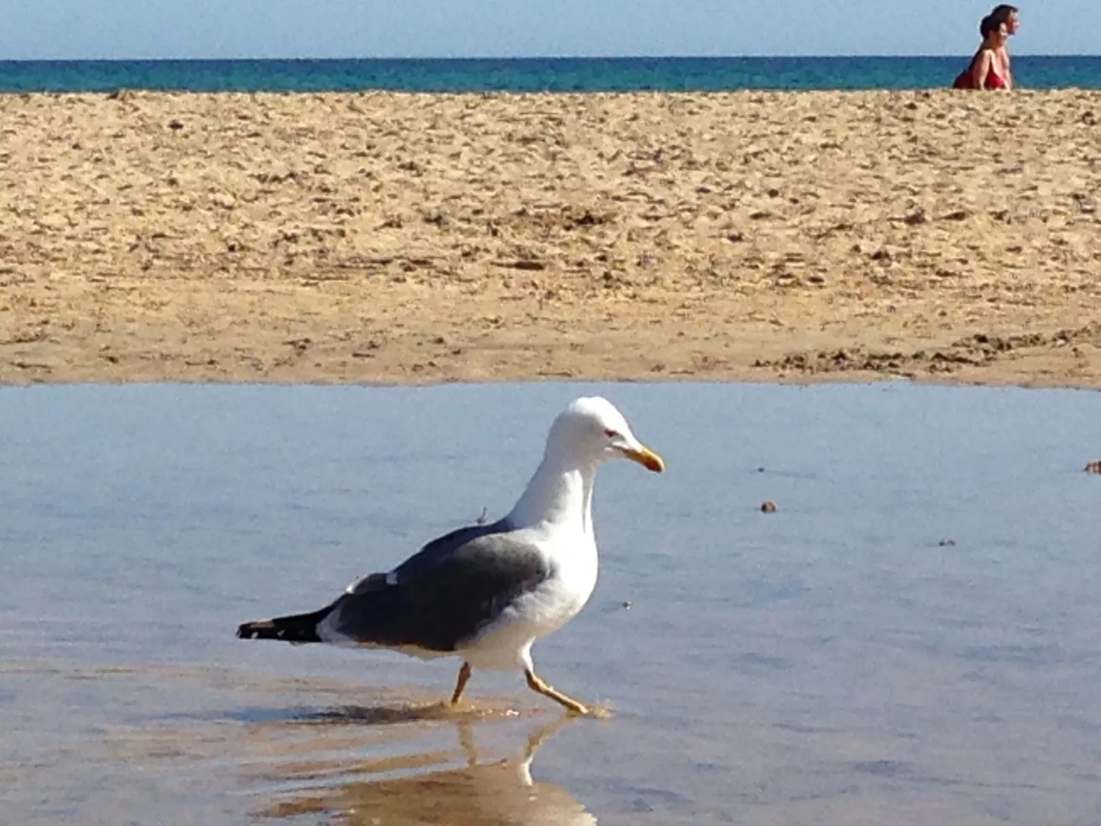 "Jandia" mit Wasserblick-Image-tags.info