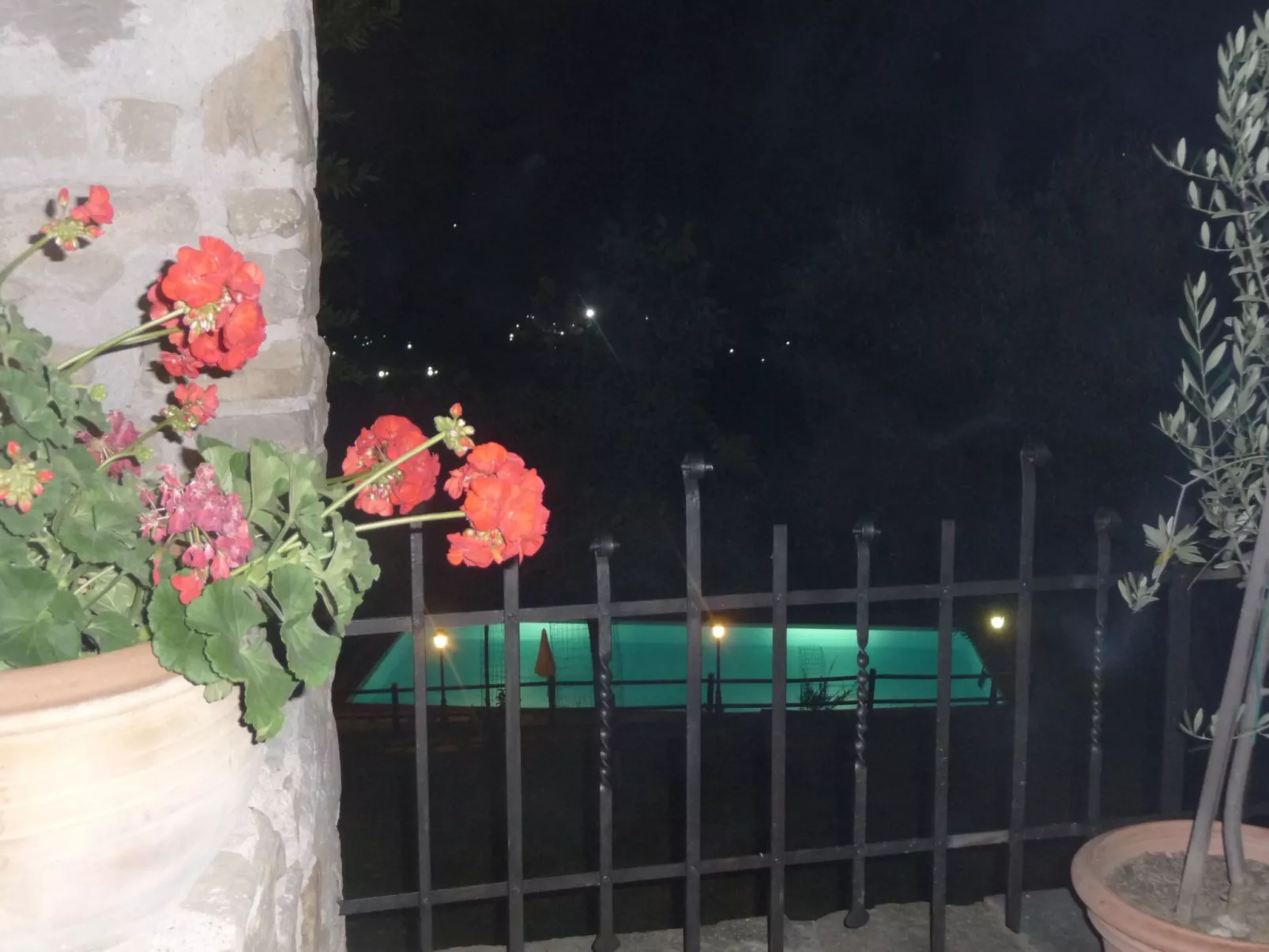 Lindenhaussiedlung mit Gemeinschaftspool-Image-tags.info