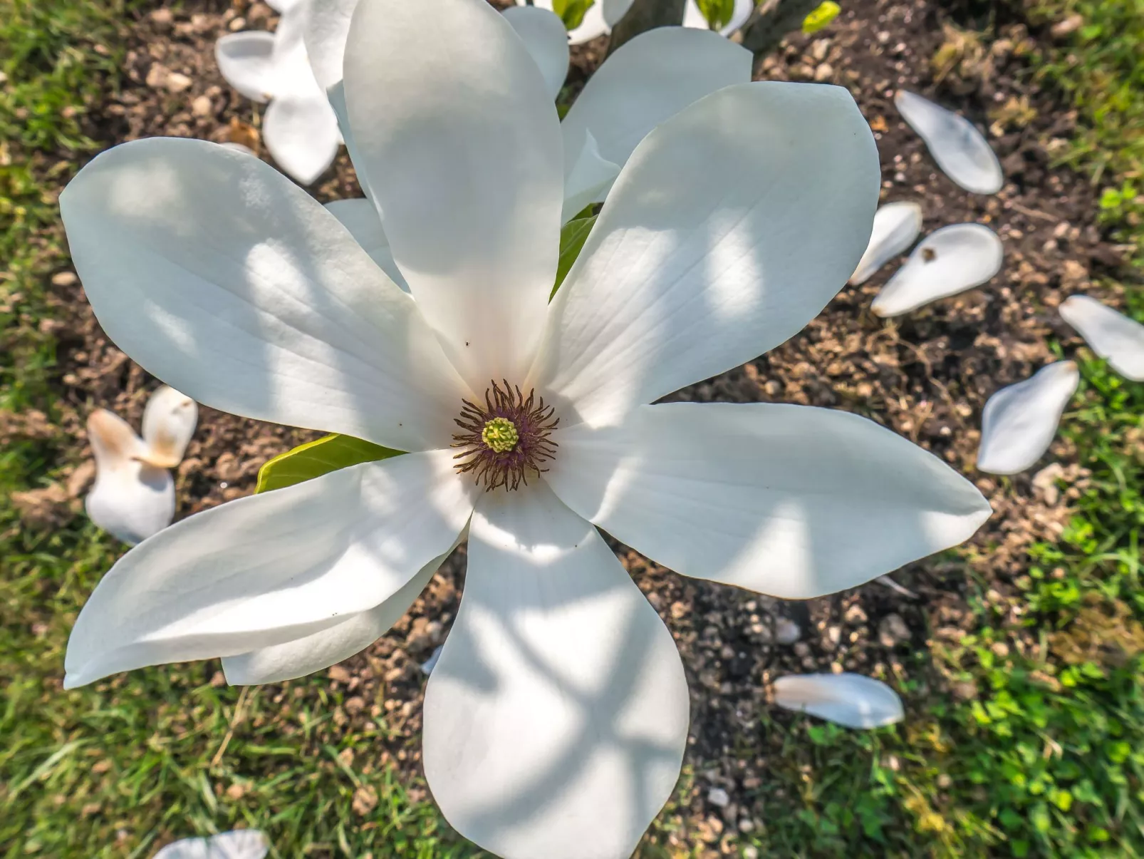 Wohnung in Strandnähe-Buiten