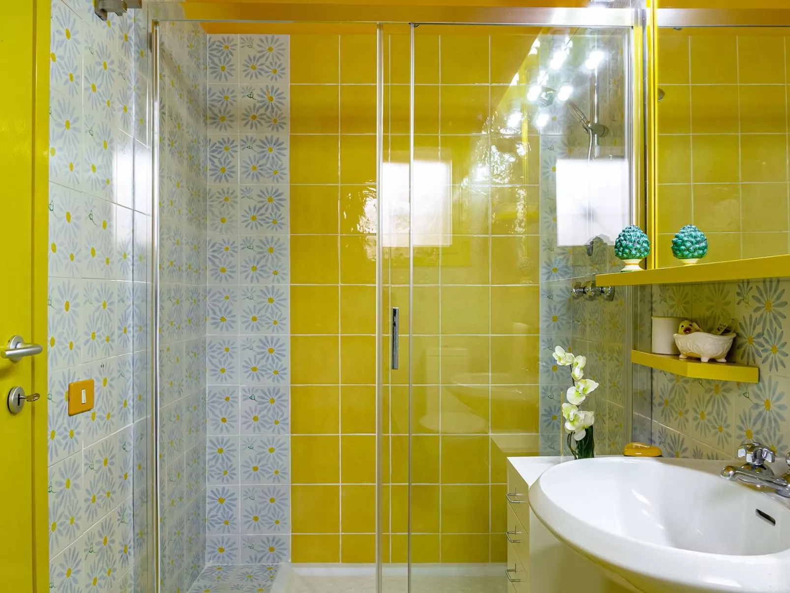 Sea Life in Taormina-Image-tags.info