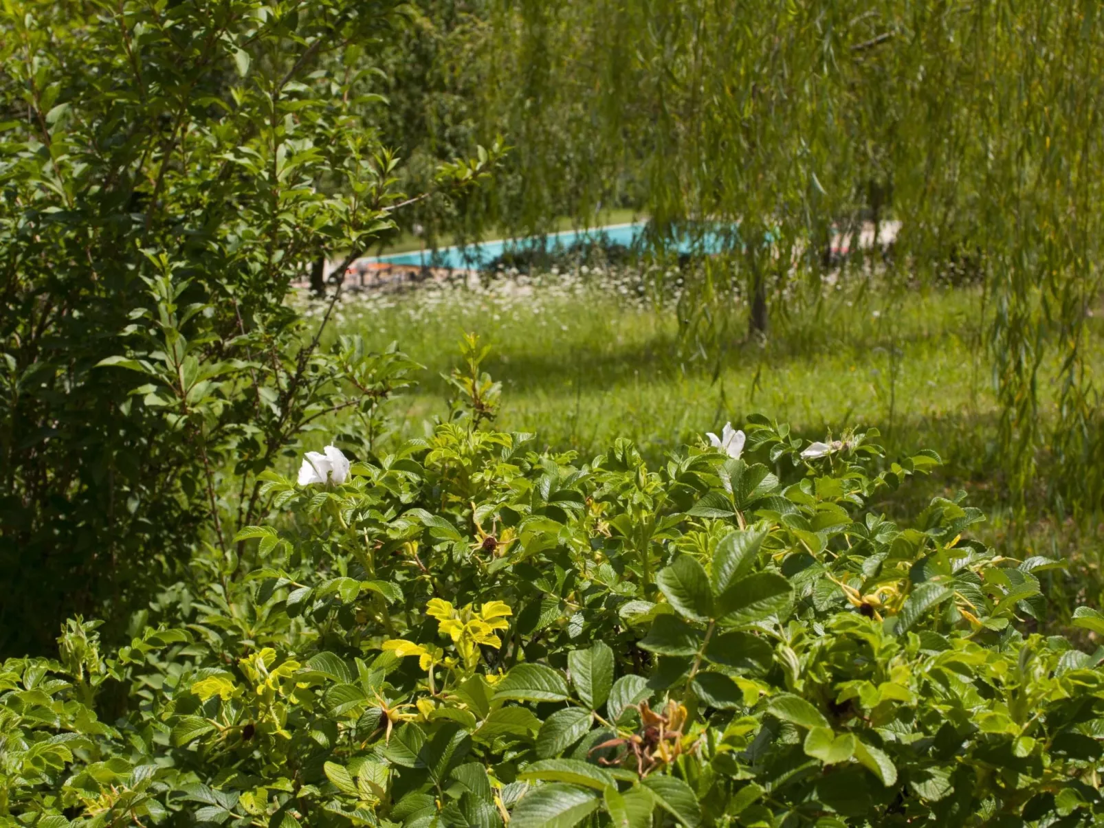 Wohnung in Figline Valdarno mit Gemeinschaftspool-Buiten