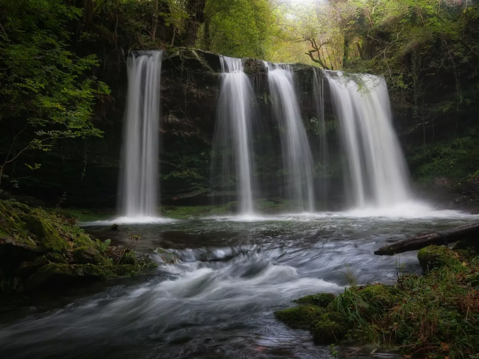 Fachwerkhaus mit Garten - Image-tags.info
