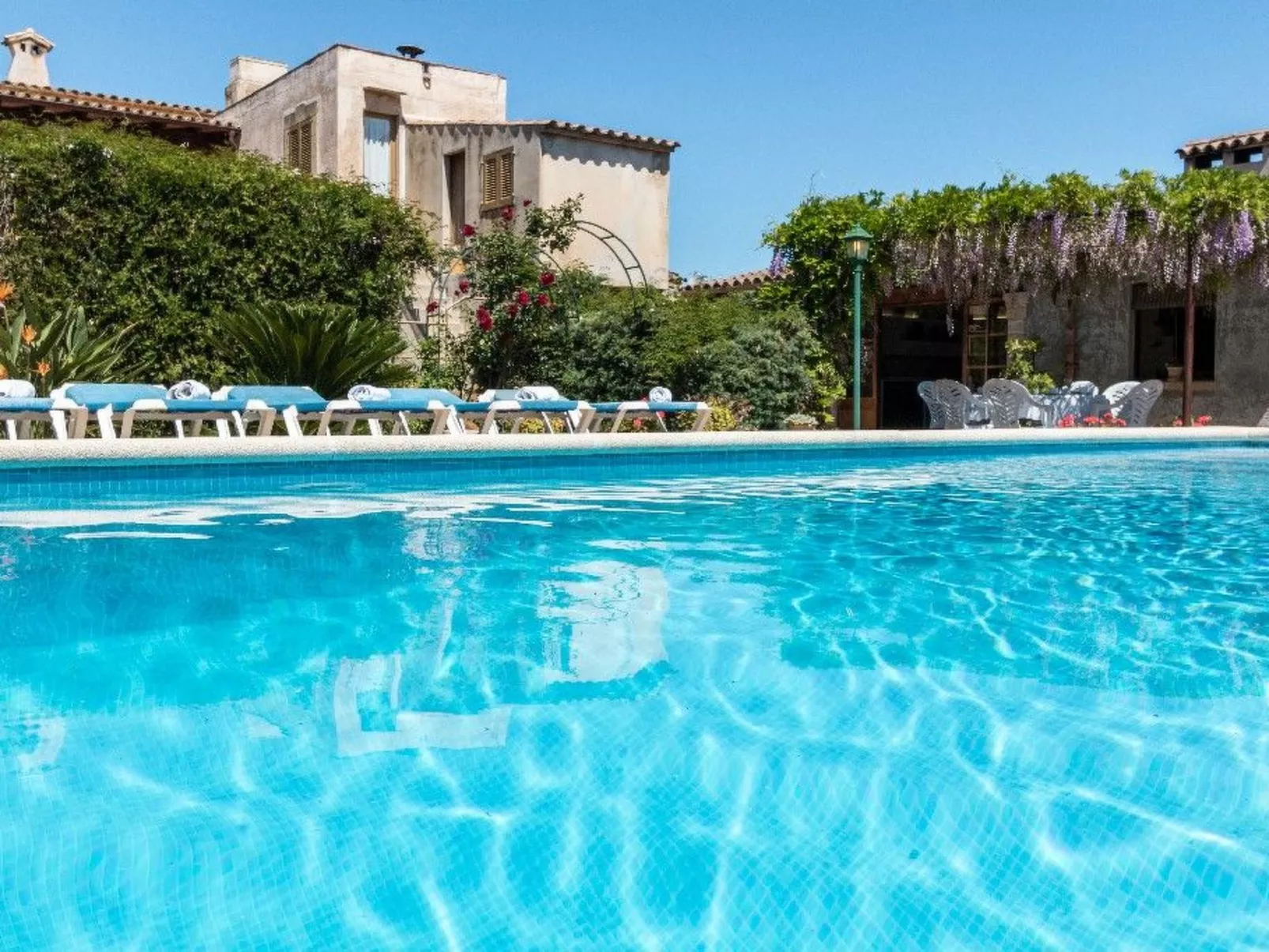 "Panada-Image-tags.info