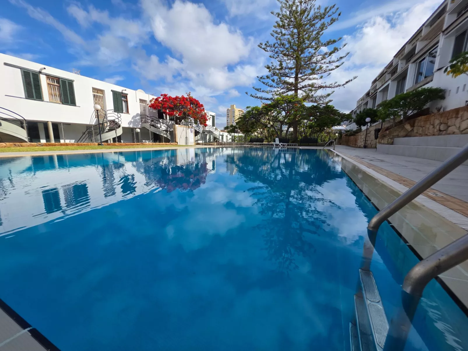 Jacaranda am Meer-Image-tags.info