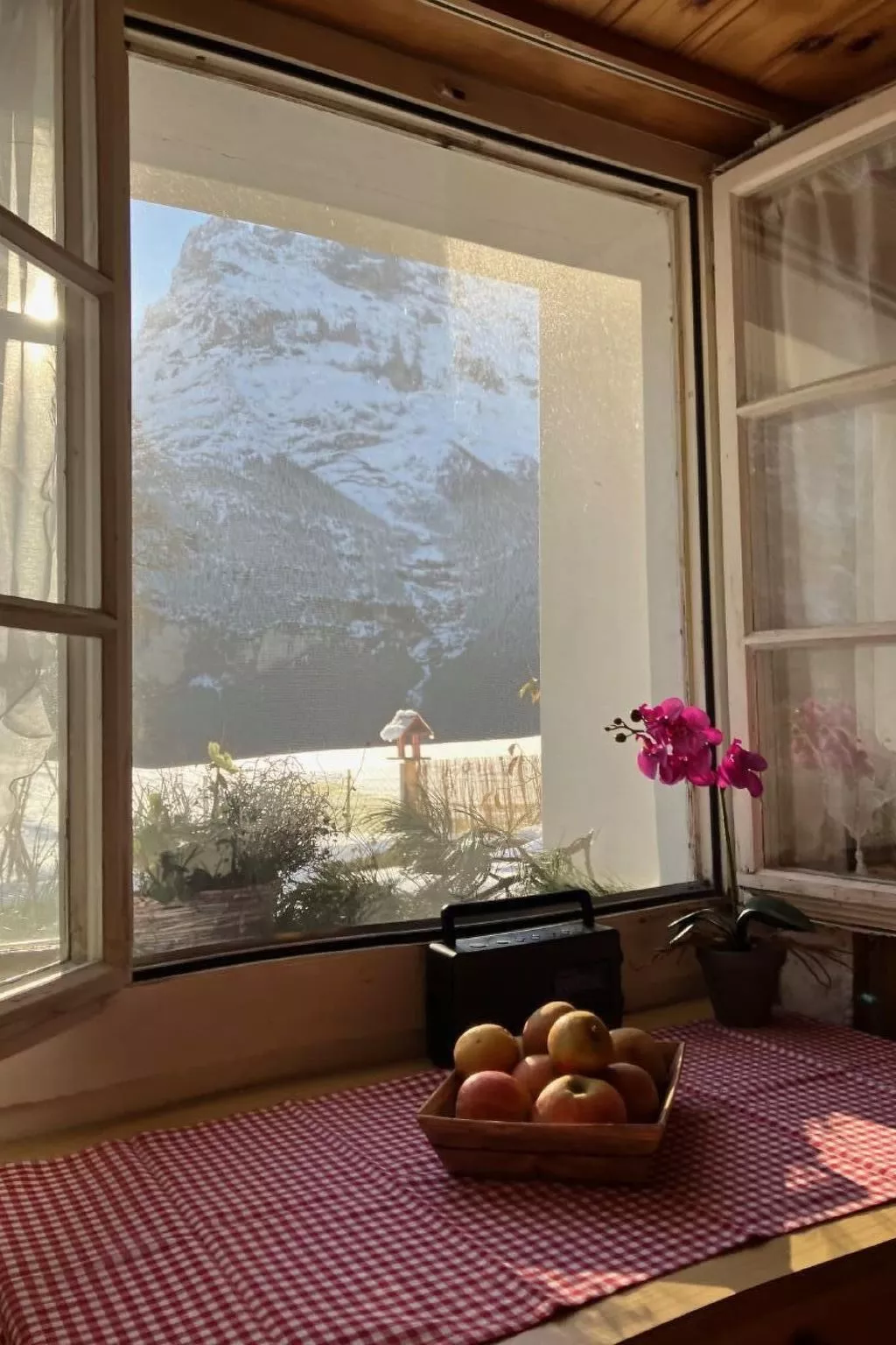 Gemütliches SINGLE-Studio-Binnen