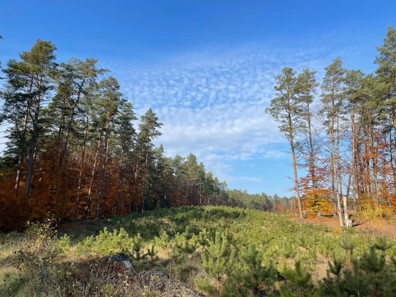 Vogelecke - abseits des Trubels und der Hektik-Buiten