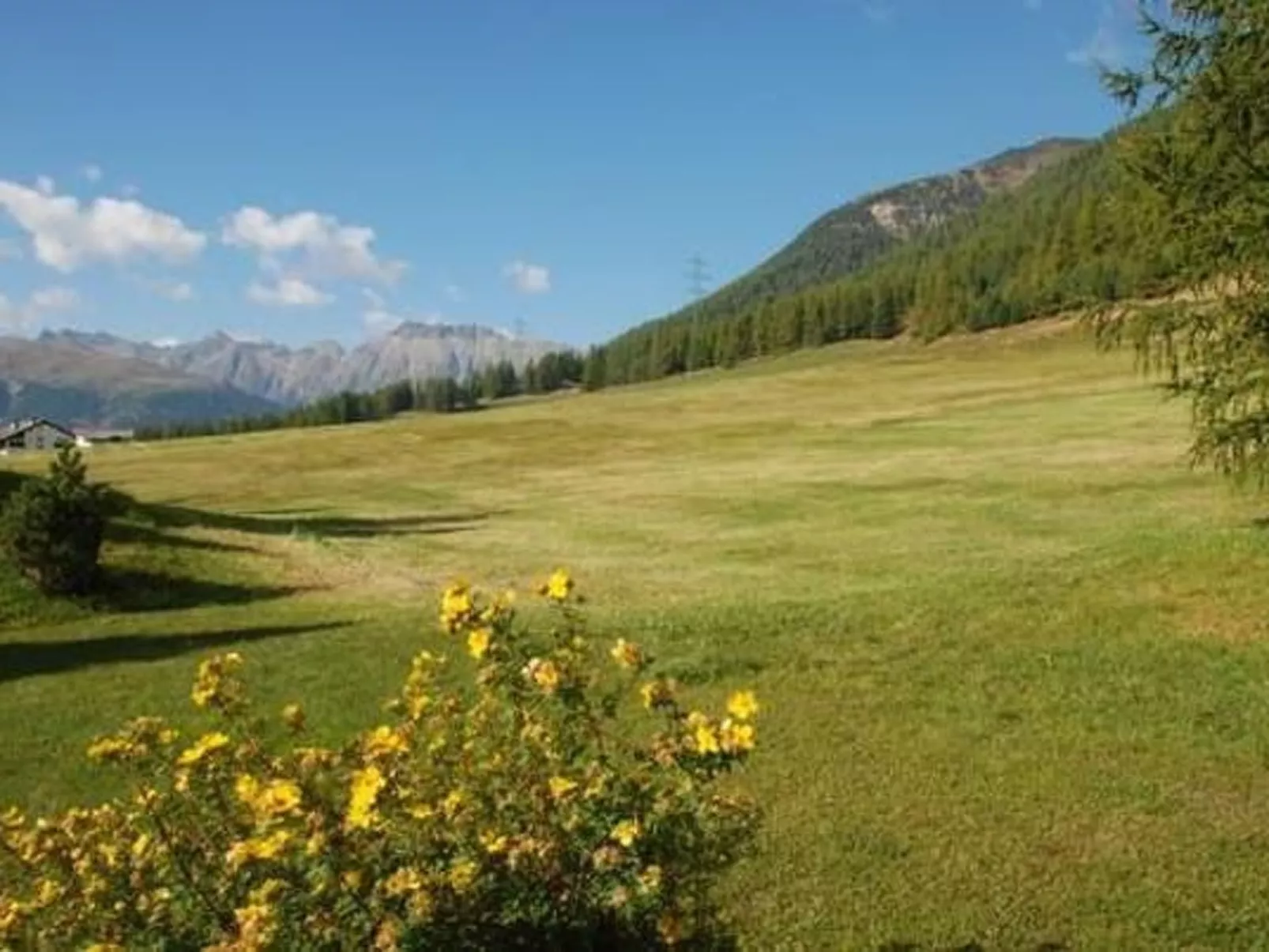 Chesa Auricula-Buiten