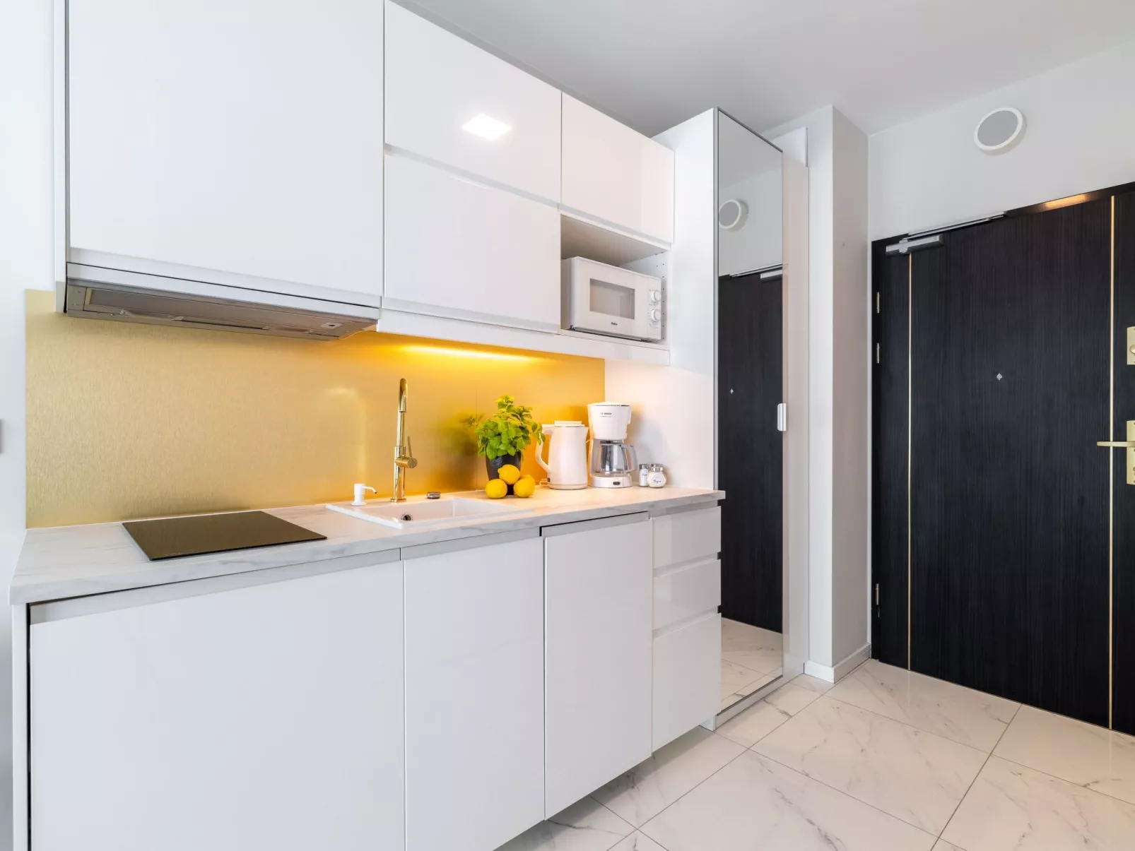 Lividus 137-Image-tags.info