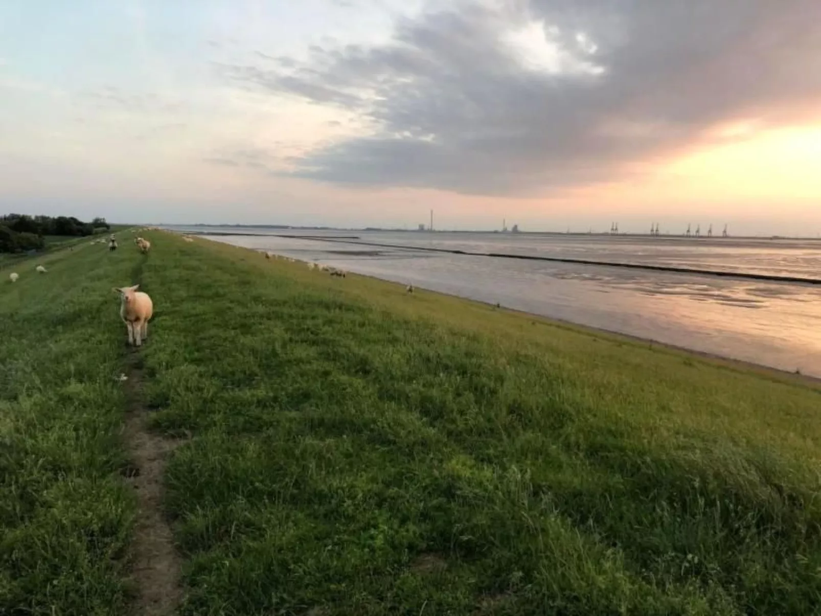 Deichhof Tossens - Buiten