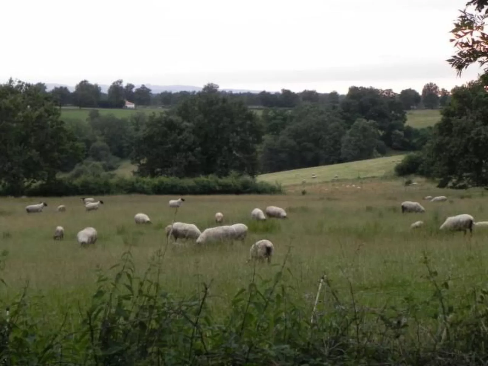 Les Belins-Image-tags.info