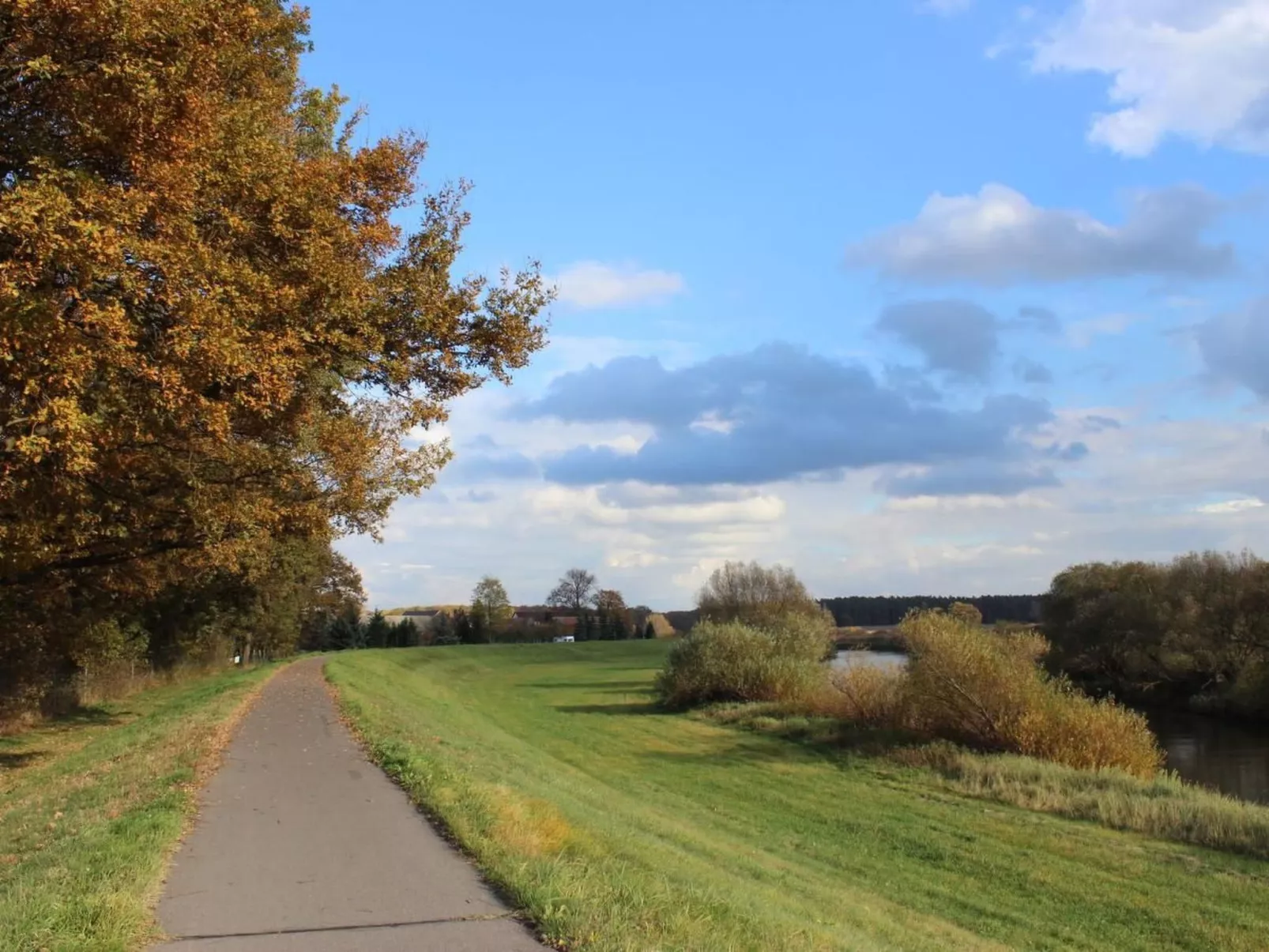 Christine-Image-tags.info