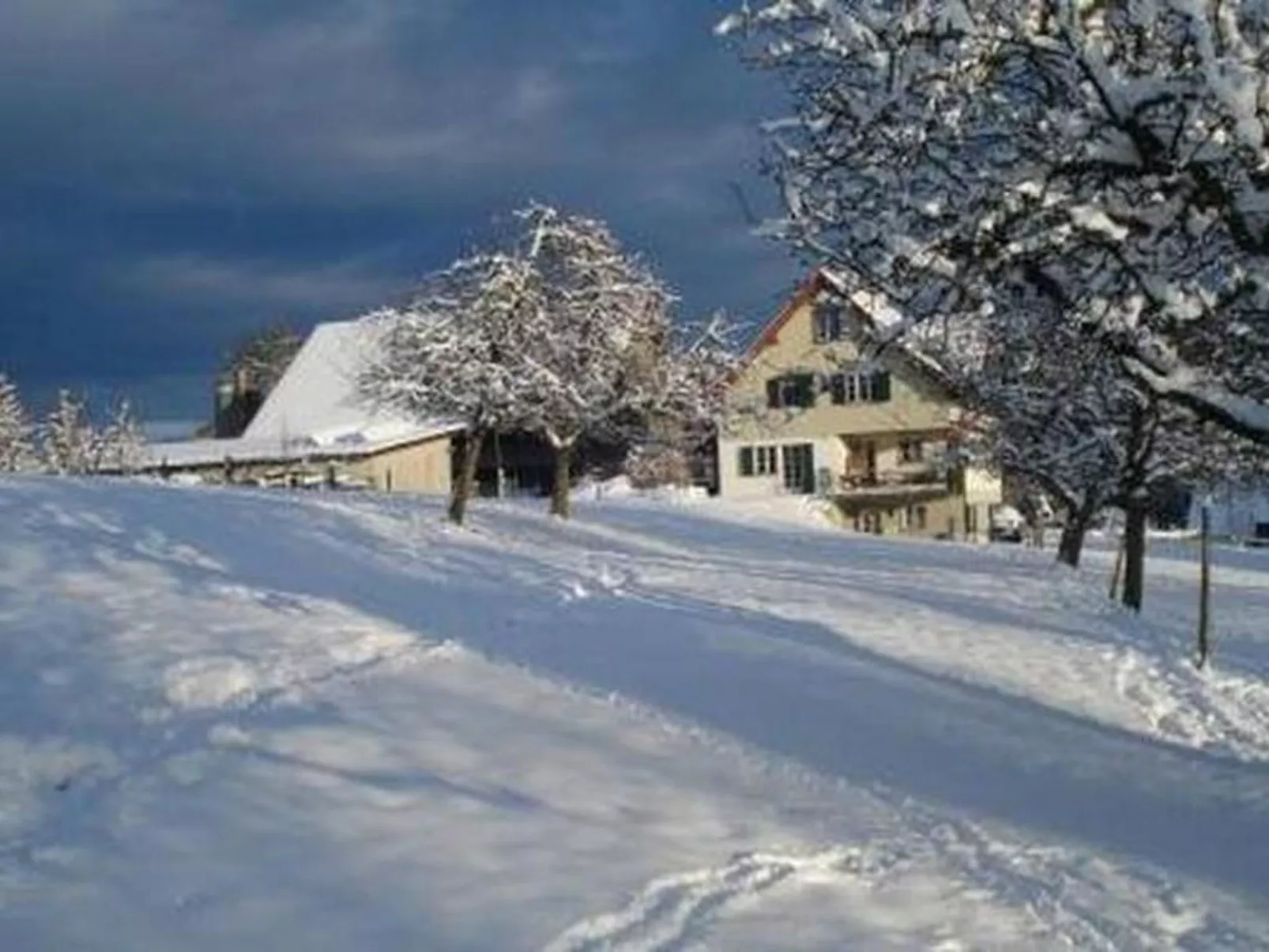 Biohof-Enderlin-Buiten