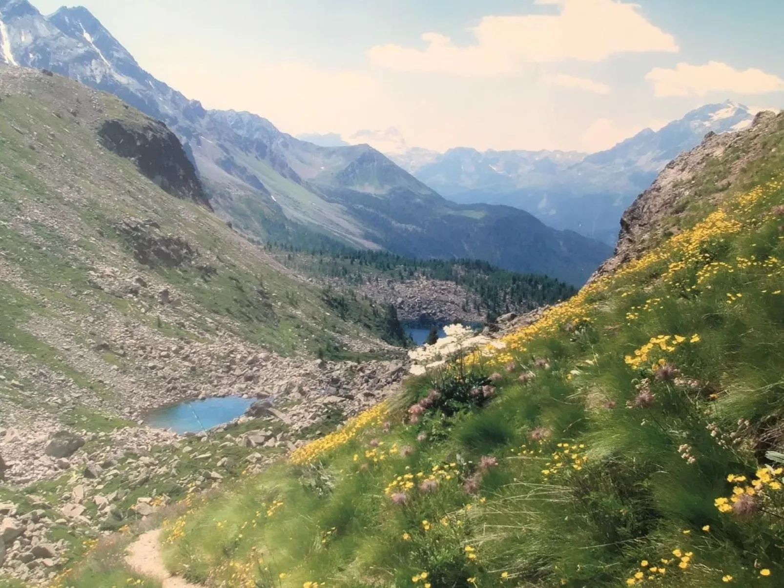 Wohnung mit Bergblick-Image-tags.info