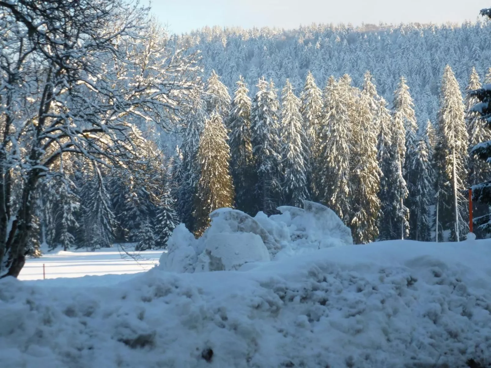 Chalet Désir, Lajoux-Image-tags.info