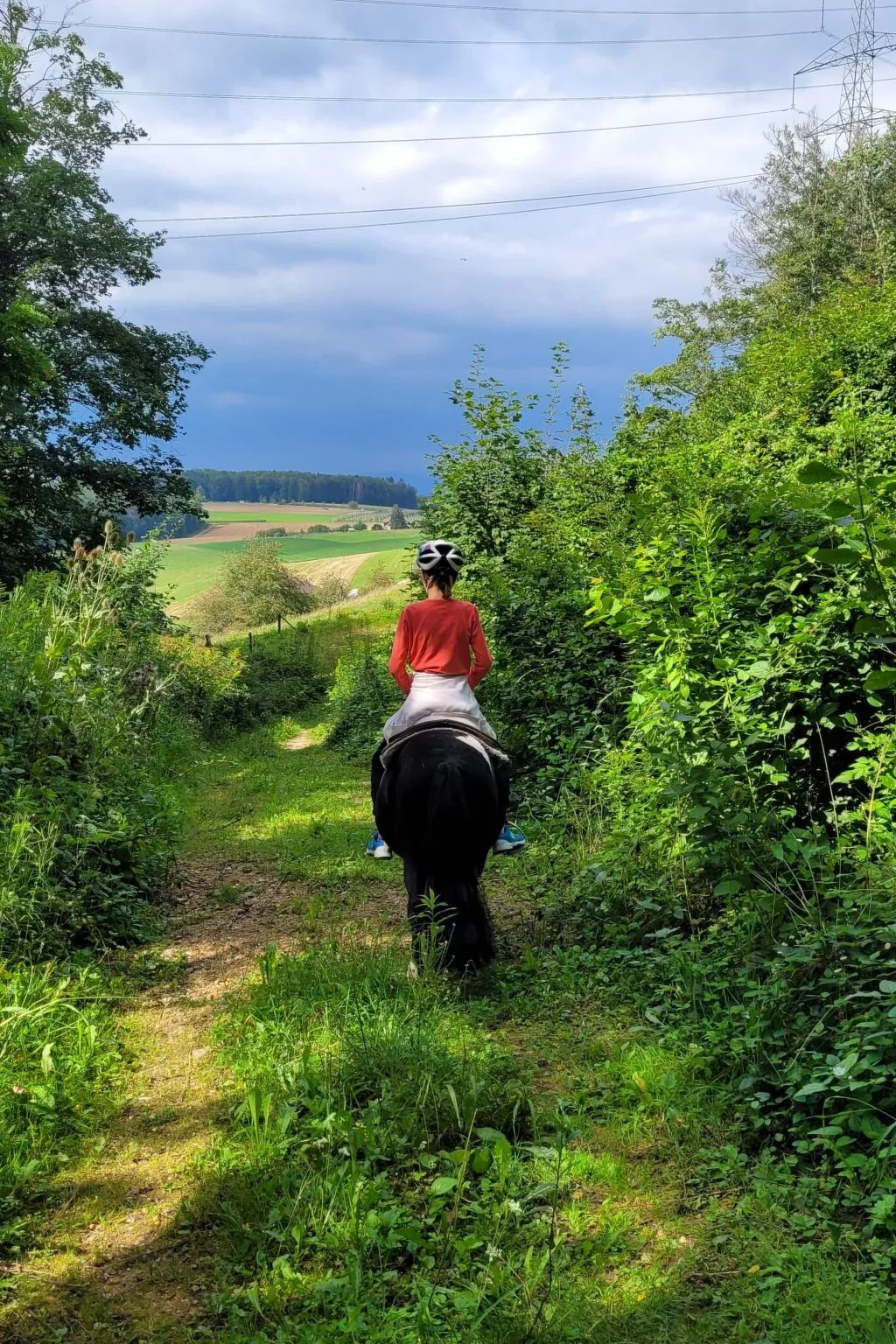Chalet Staufenhof-Buiten