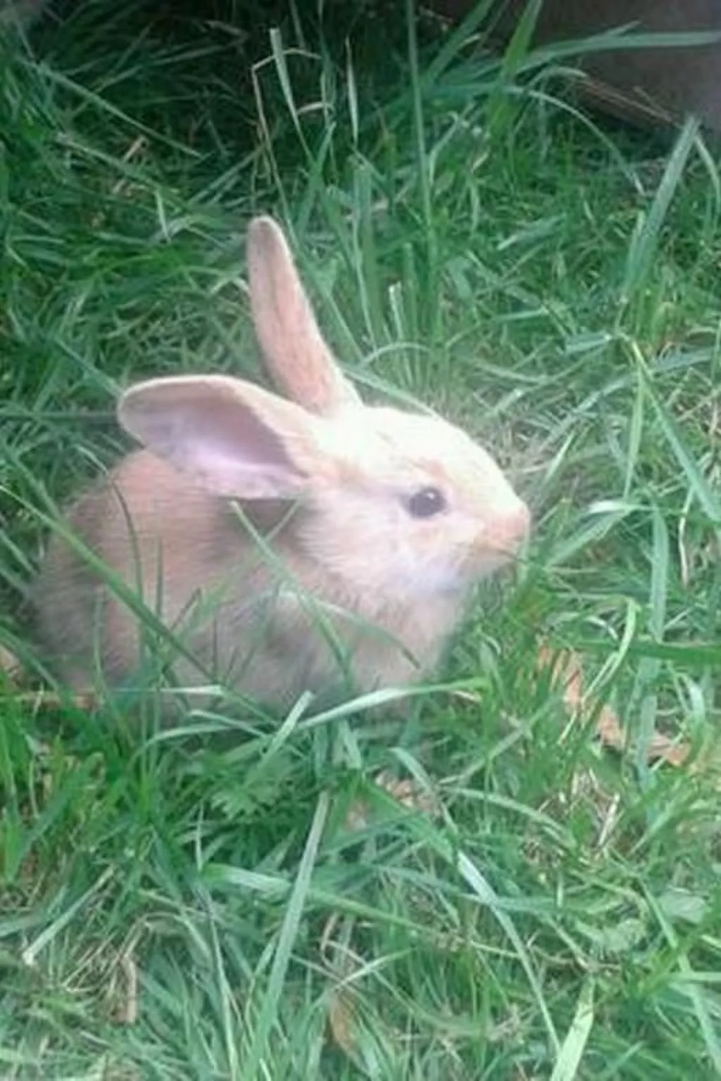 Steinern-Image-tags.info