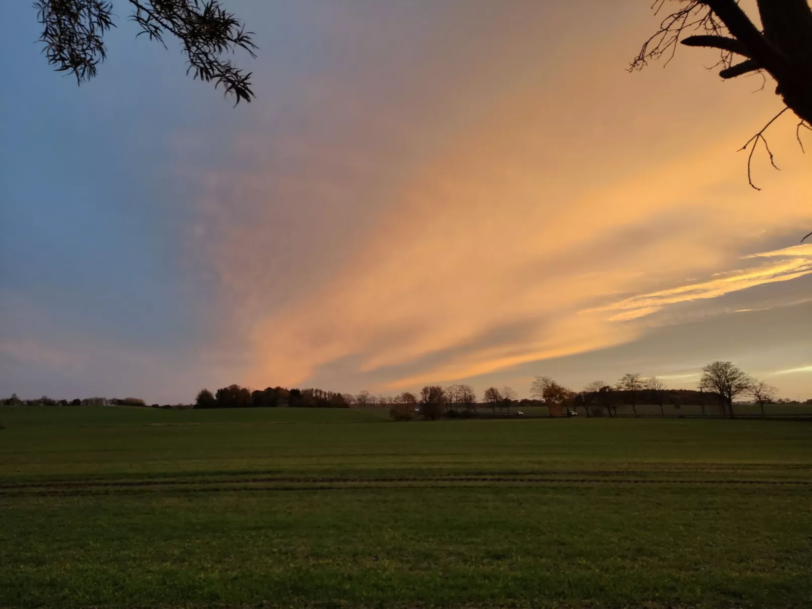 Janet Ratschkowski-Buiten