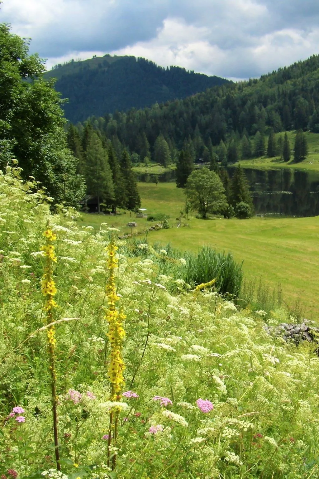 In Sankt Koloman mit Großer Terrasse-Image-tags.info