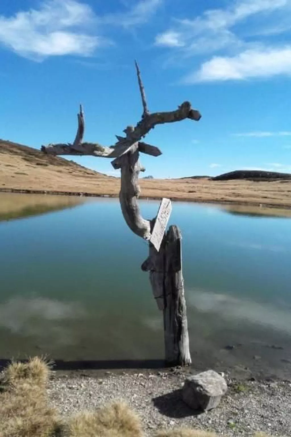 Charmantes Ferienhaus mit Whirlpool-Buiten