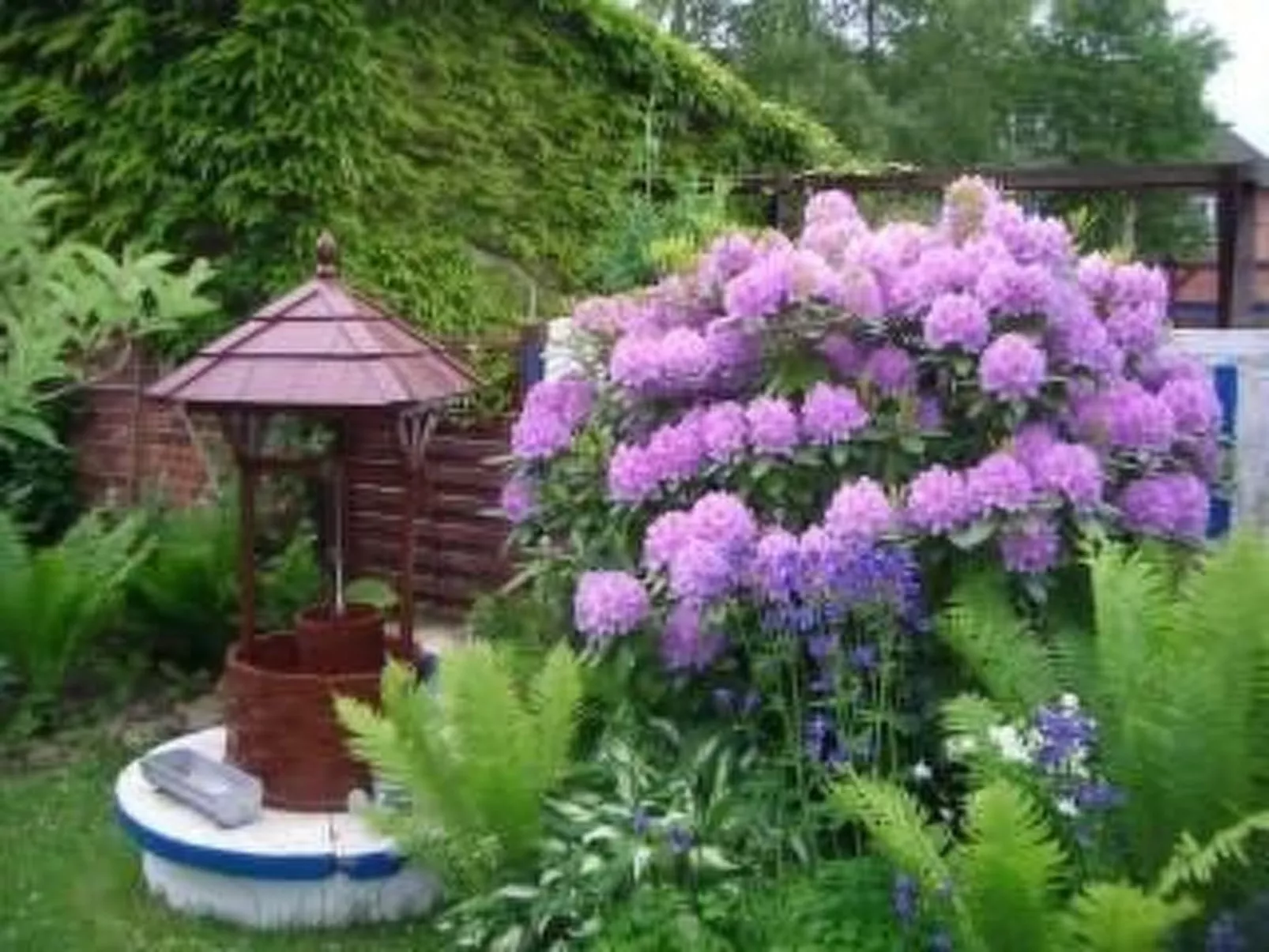 Reindl-Image-tags.info