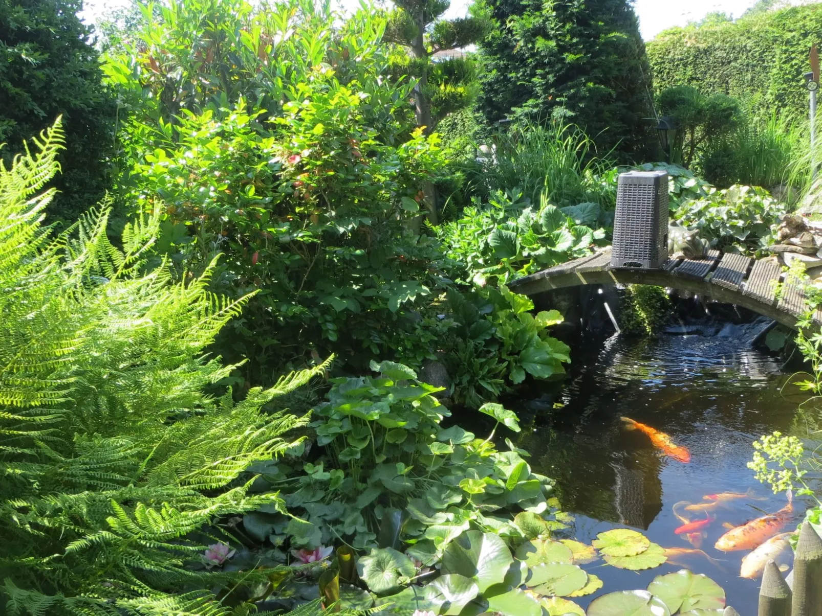 Boller - Image-tags.info