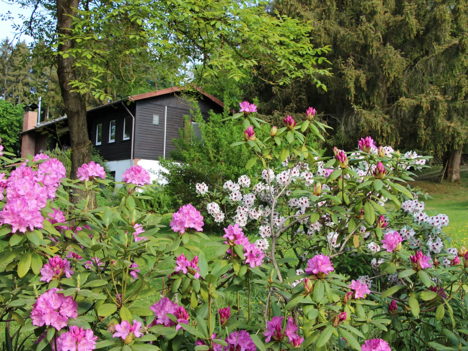 Ferienvilla mit eigener Sauna-Buiten