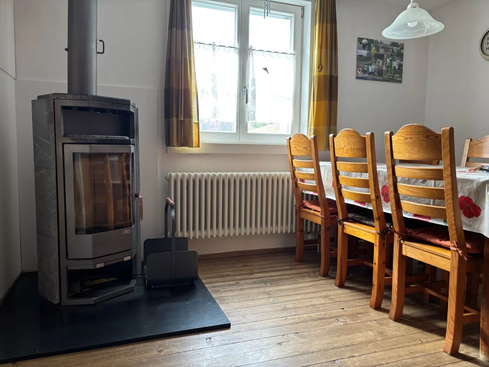 Tieroase Grünegg-Image-tags.info