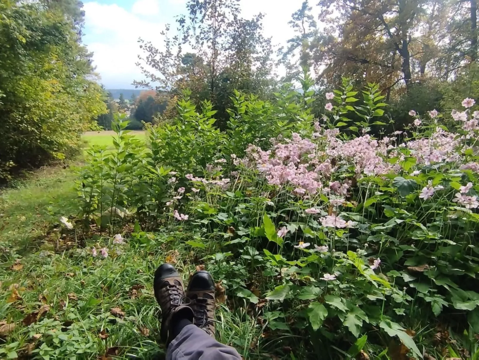 Waldhaus auf Randen-Buiten