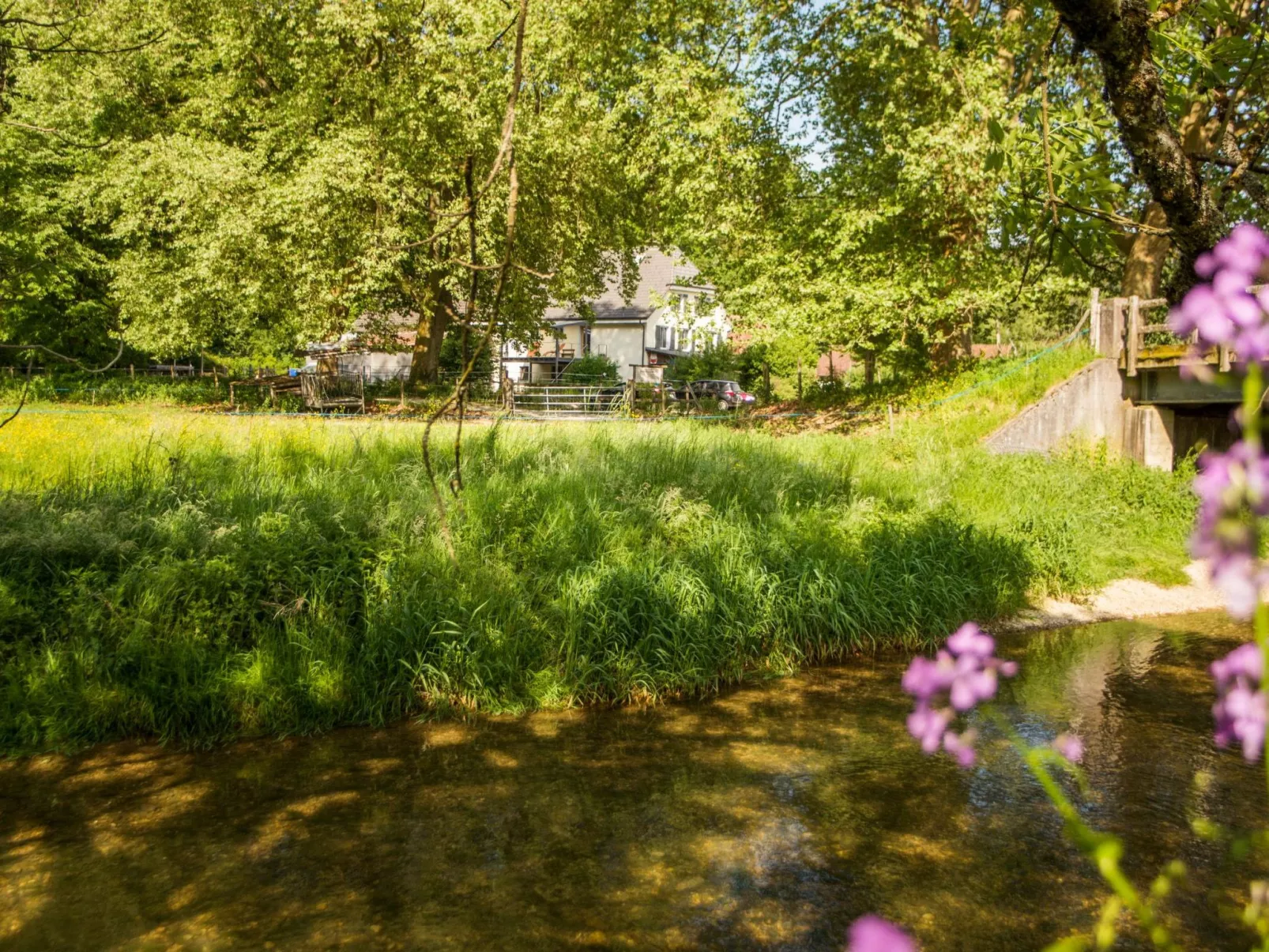 Leben "Im Herzen der Farm"-Buiten