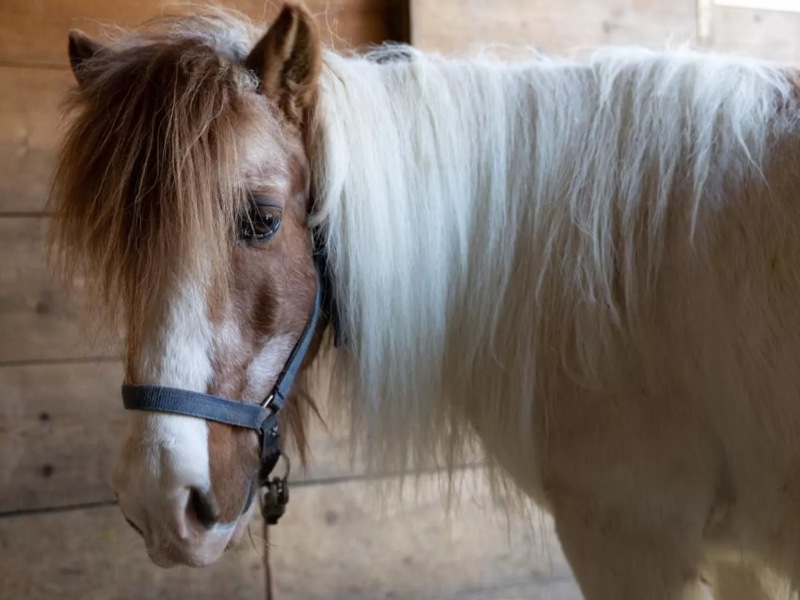 Muessache-Image-tags.info