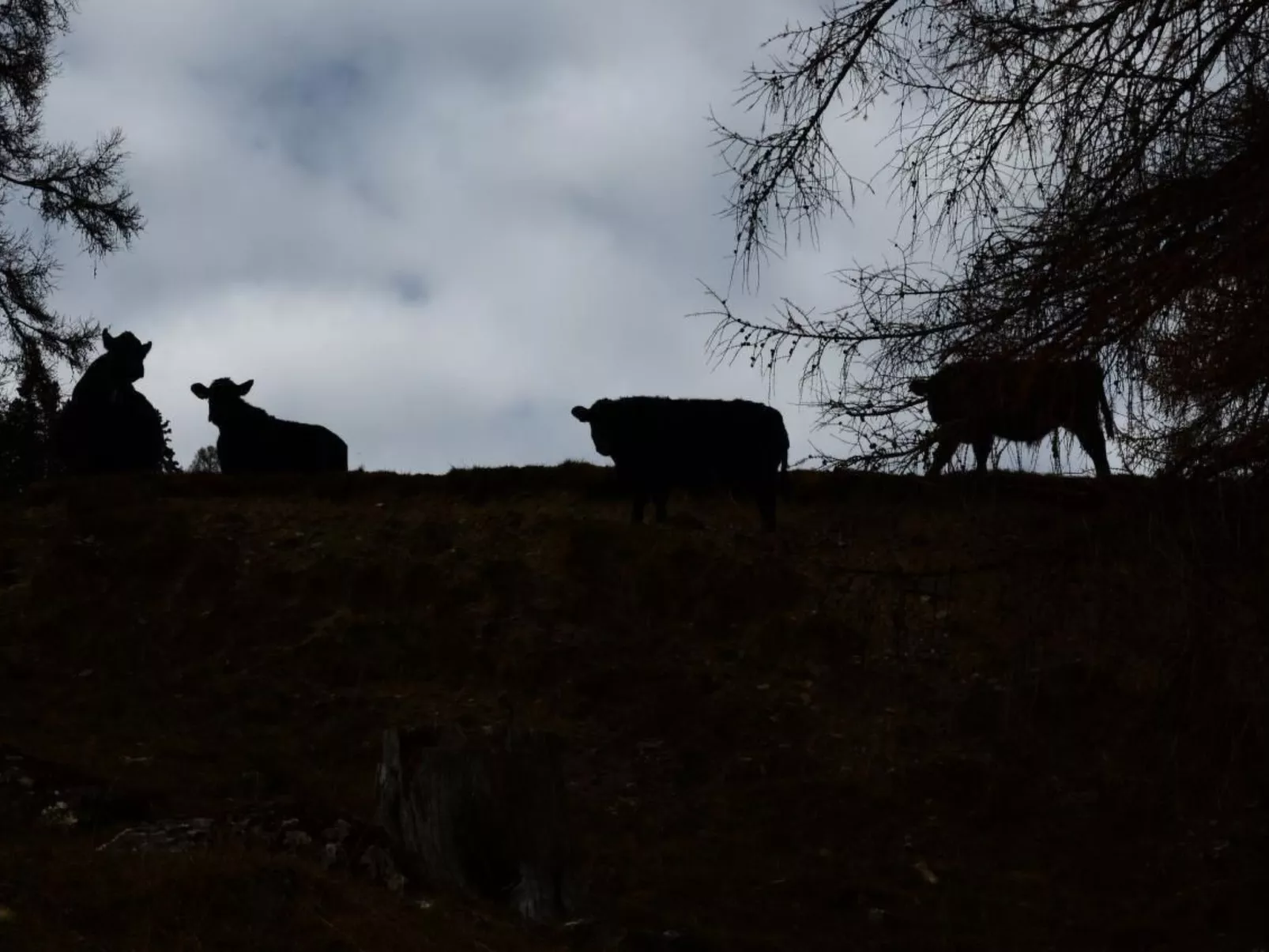 Biohof Furn-Image-tags.info