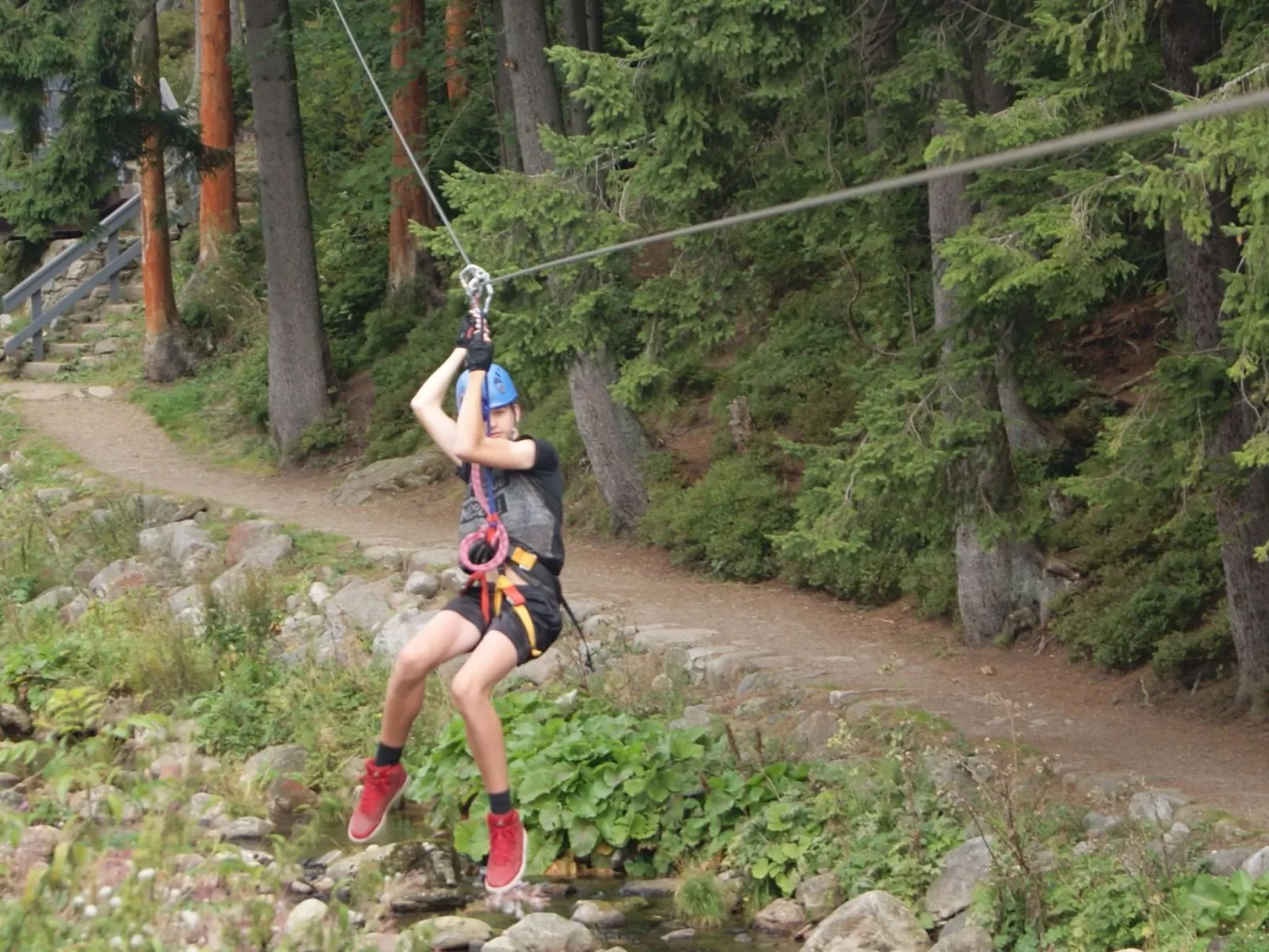 In natürlicher Umgebung-Buiten