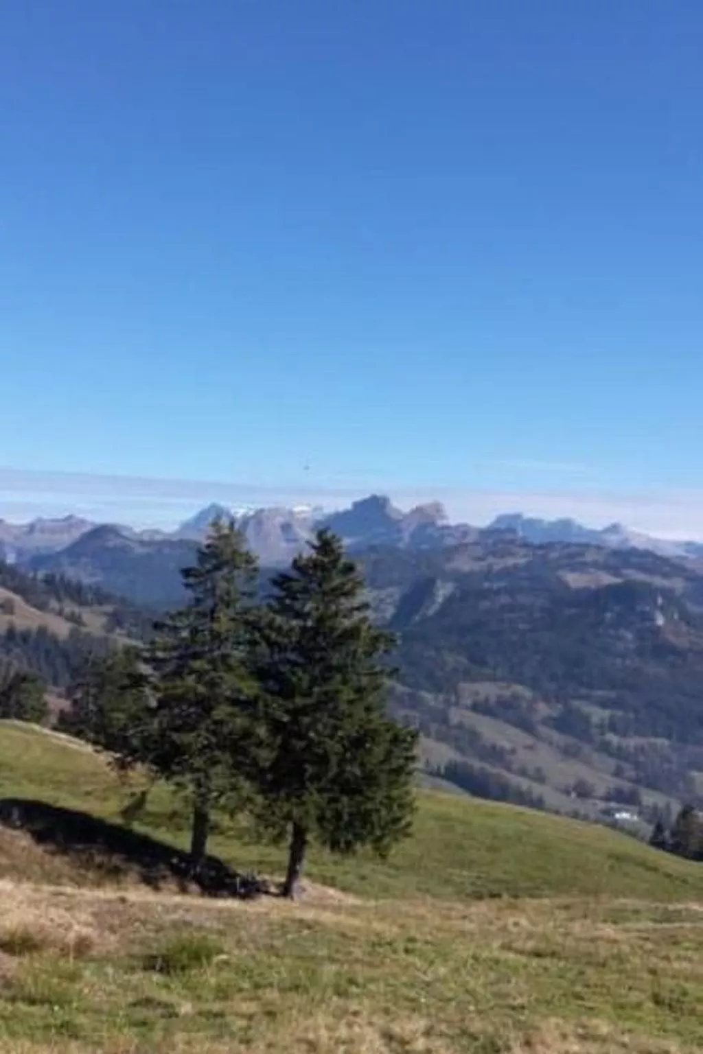 Guntern in Lauerz-Image-tags.info