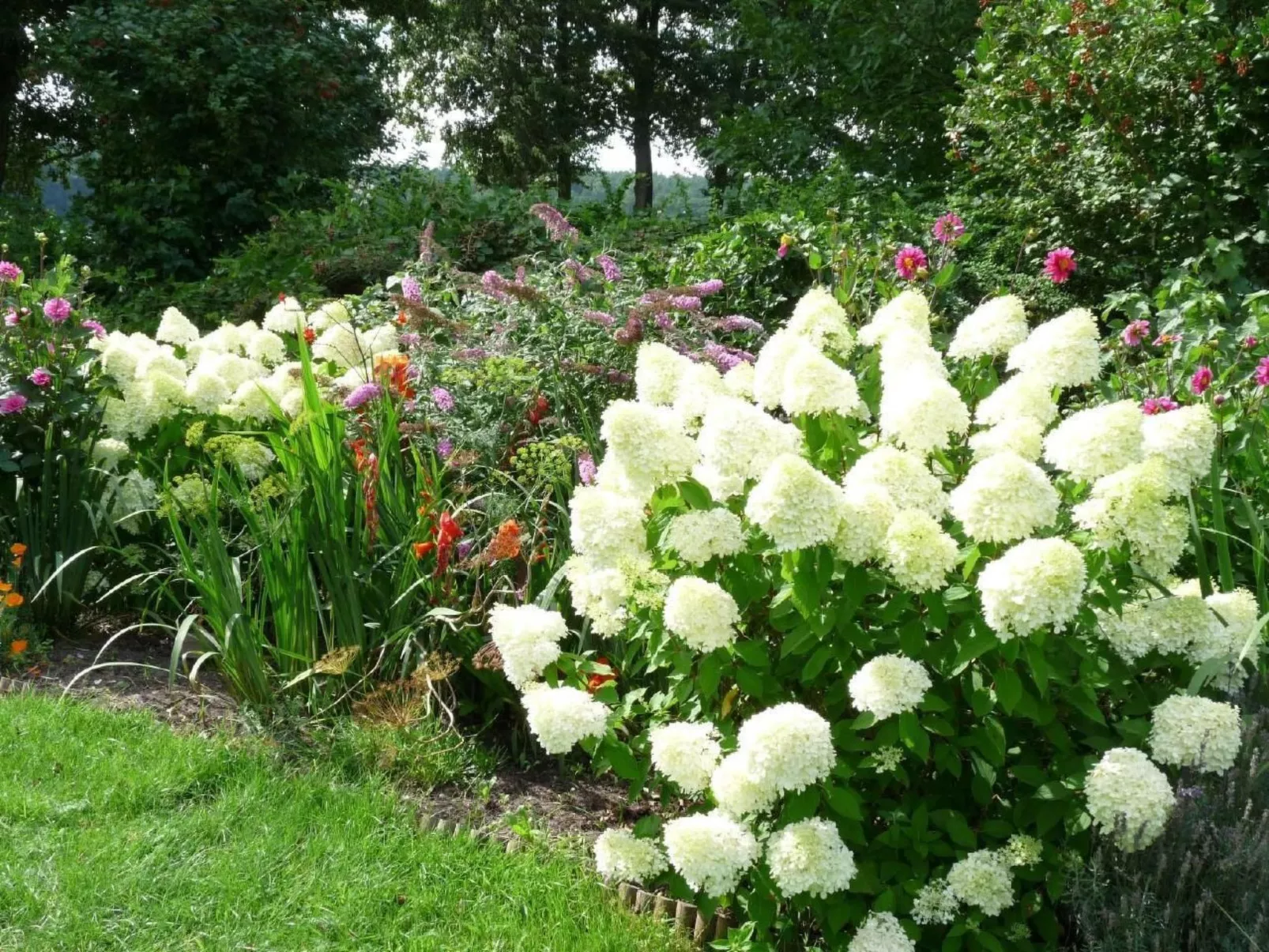 Glücksurlaub am See-Buiten